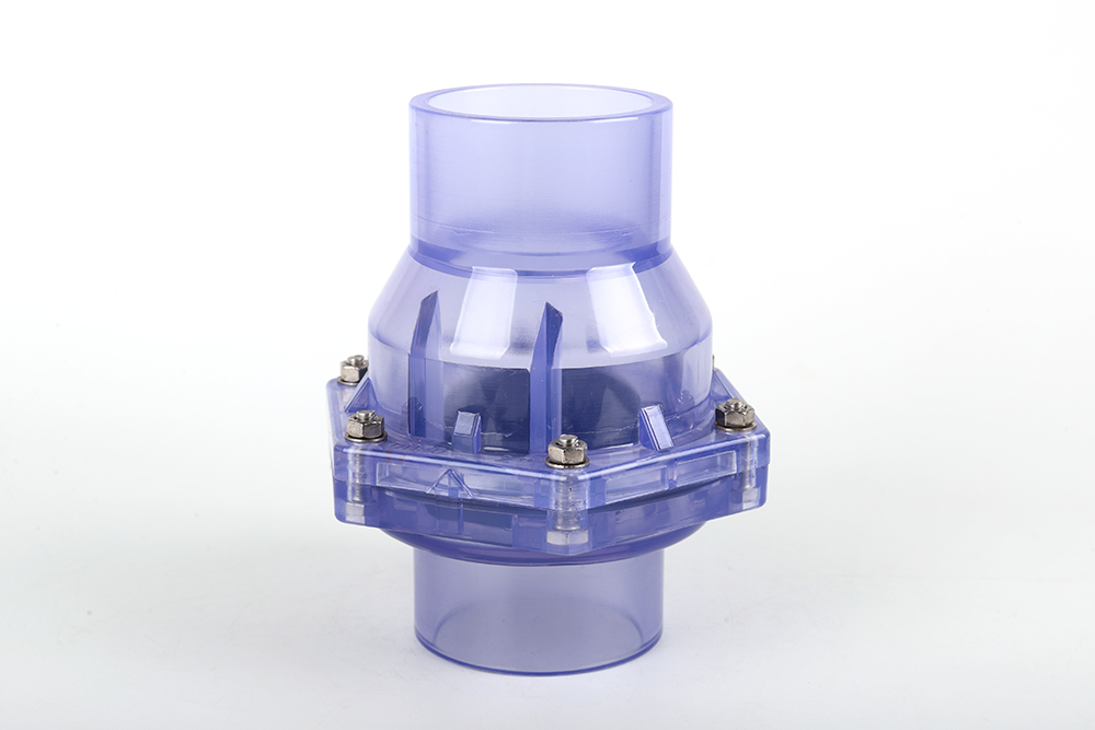 晋州透明翻板式止回阀